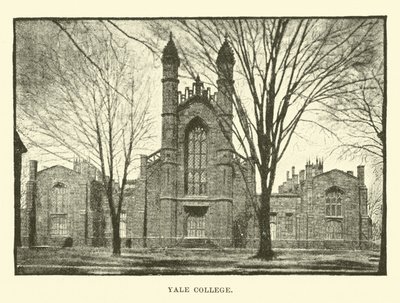 Yale College da English School