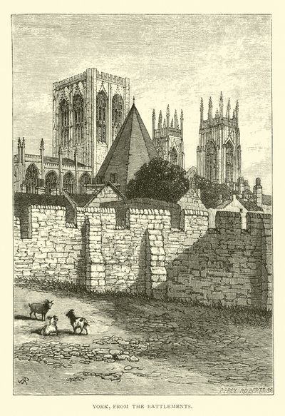 York, dalle Mura da English School
