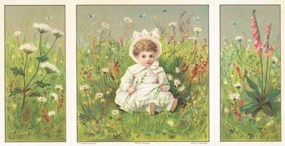 Bambino Seduto in un prato fiorito, Cartolina di Natale da English School