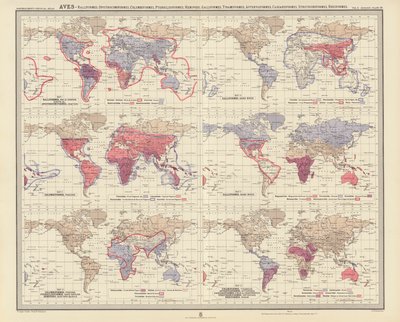 Zoogeografia: Aves, Ralliformes, Opisthocomiformes, Columbiformes, Pteroclidiformes, Hemipodii, Galliformes, Tinamiformes, Apterygiformes, Casuariiformes, Struthioniformes, Rheiformes da English School