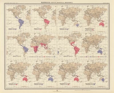 Zoogeografia: Mammiferi, Edentati, Marsupiali, Monotremi da English School