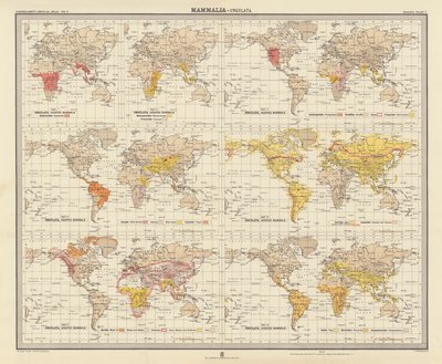 Zoogeografia: Mammalia, Ungulata da English School