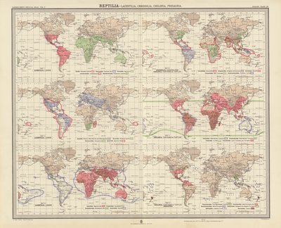 Zoogeografia: Reptilia, Lacertilia, Crocodilia, Chelonia, Prosauria da English School