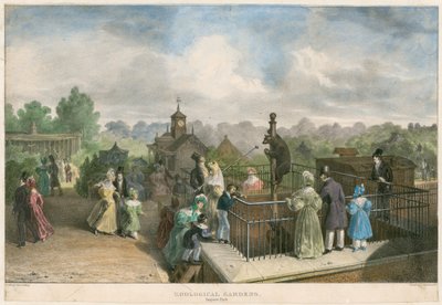 Giardini zoologici, Regent