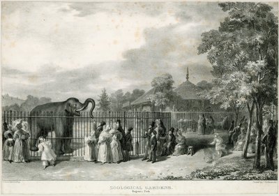 Giardini Zoologici, Regents Park da English School