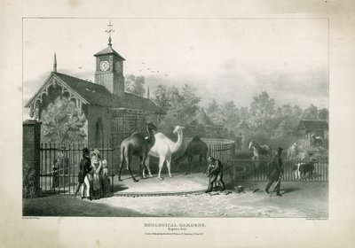Giardini Zoologici, Regents Park da English School
