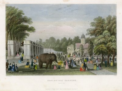 Giardini Zoologici, Regents Park da English School