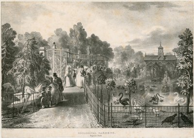Giardini Zoologici, Regents Park da English School