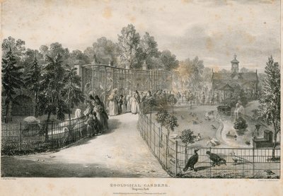 Giardini Zoologici, Regents Park da English School