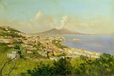 Vista sul Golfo di Napoli da Enrico Pistilli