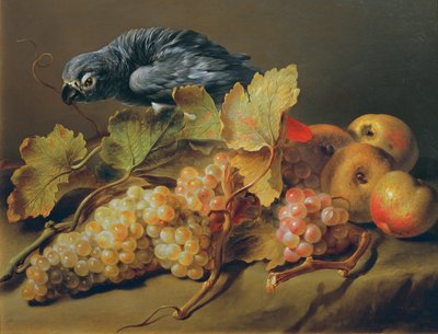 Natura morta con pappagallo e uva da Erasmus von Engert