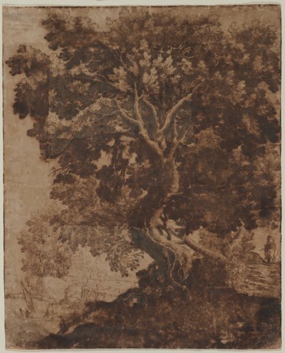 Albero in un paesaggio da Ercole Bazicaluva