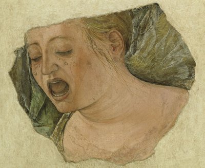 Testa di Maria Maddalena piangente, dalla Crocifissione da Ercole de Roberti