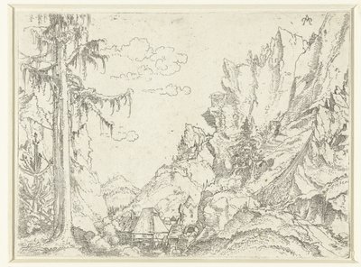 Paesaggio con un villaggio in una valle rocciosa da Erhard Altdorfer