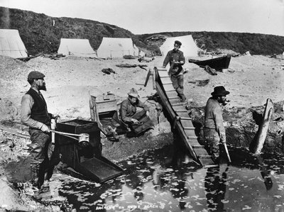 Dondolarsi sulla spiaggia di Nome, da 