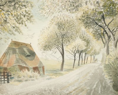 Strada vicino a un campo d