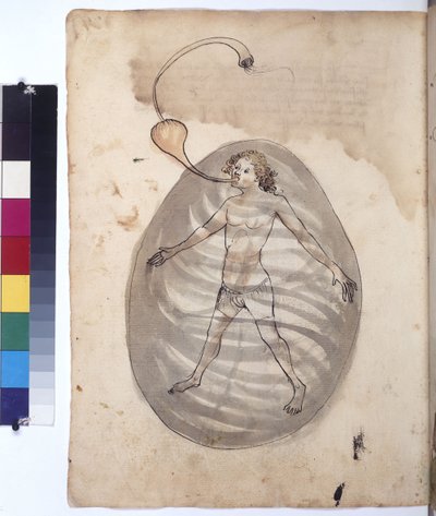 Pagina intera: palombaro, 1430 circa (disegno a penna colorata) da Erich Lessing