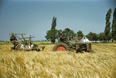  da Erich Lessing