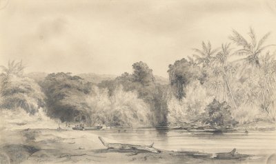 Ingresso del fiume Paiou, isola di Vanikoro da Ernest-Auguste Goupil