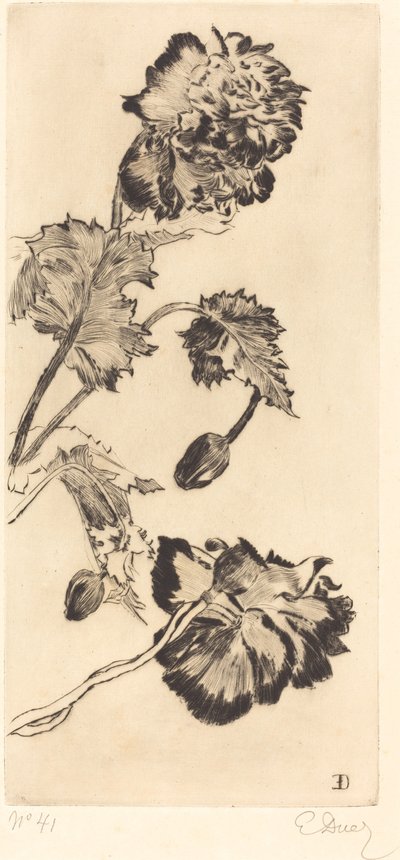 Fiori da Ernest Ange Duez