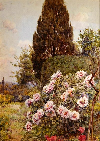 Peonie, Coddington, vicino a Ledbury da Ernest Arthur Rowe