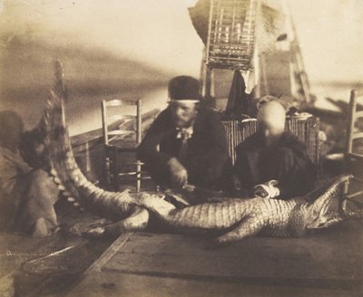 Autopsia del primo coccodrillo a bordo, Alto Egitto da Ernest Benecke