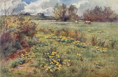 Campi senza sentieri da Ernest Benger or Berenger