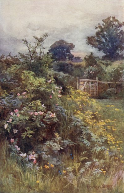 Il Regno della Rosa da Ernest Benger or Berenger
