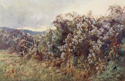 La gioia dei viaggiatori da Ernest Benger or Berenger