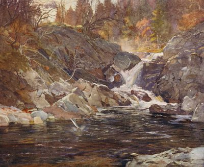 Una valle laterale del Perthshire da Ernest Edward Briggs