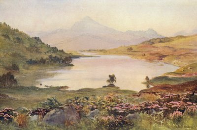 Loch Poulary da Ernest Edward Briggs