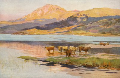 La testa del Loch Quoich, sera da Ernest Edward Briggs