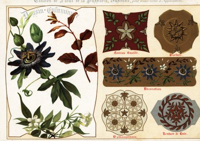 Immagini di gelsomino e passiflora dai manoscritti e loro applicazioni da Ernest Guillot