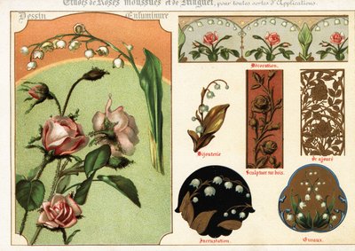Immagini di rosa muschiata e mughetto da manoscritti da Ernest Guillot