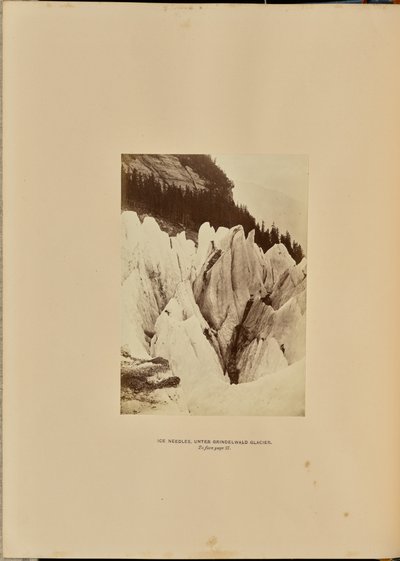 Api di ghiaccio - Sotto il ghiacciaio di Grindelwald da Ernest H. Edwards