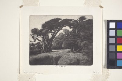 Pergolato di cipressi da Ernest Haskell