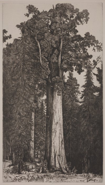Generale Sherman da Ernest Haskell