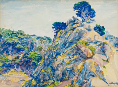 Point Lobos da Ernest Haskell