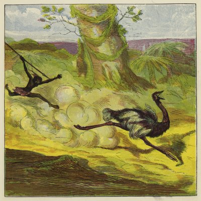 Uomo che caccia uno struzzo da Ernest Henry Griset