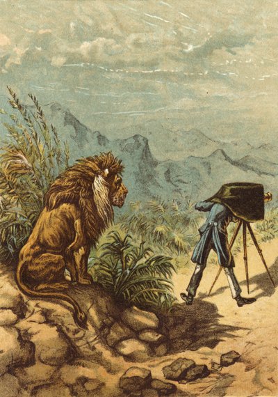 Prospettiva promettente, leone osserva il fotografo da Ernest Henry Griset