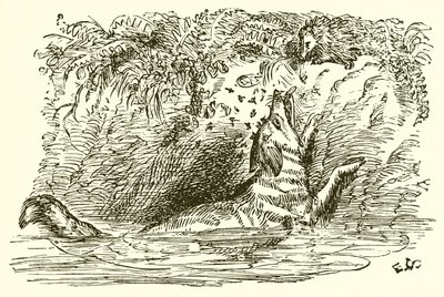 La Volpe e il Riccio da Ernest Henry Griset