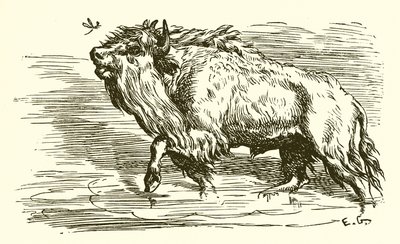 La zanzara e il toro da Ernest Henry Griset