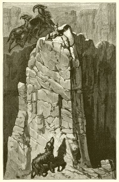 Il capretto e il lupo da Ernest Henry Griset