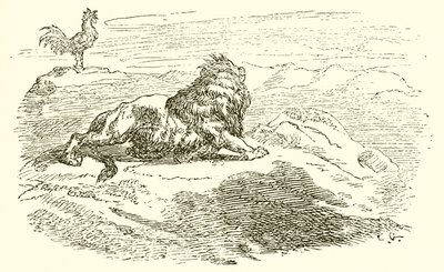 Il leone e l