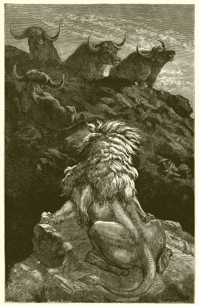 Il leone e i quattro tori da Ernest Henry Griset