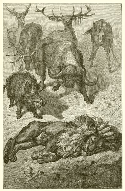Il Vecchio Leone da Ernest Henry Griset