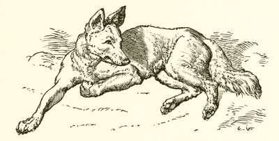 Il lupo in veste di pecora da Ernest Henry Griset