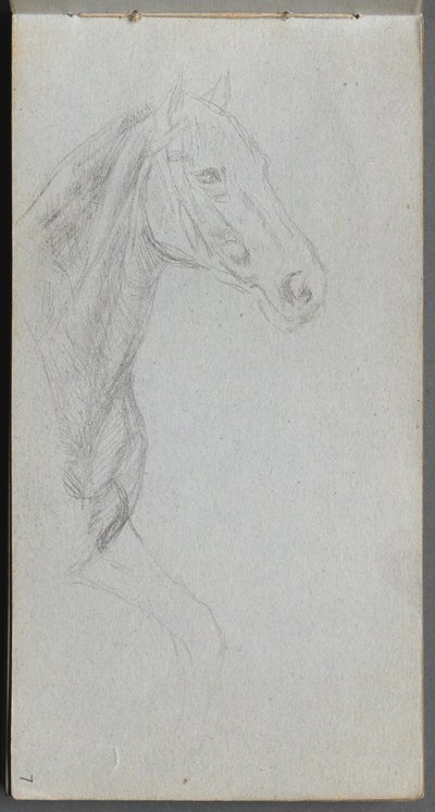 Studio di un cavallo da Jean Louis Ernest Meissonier