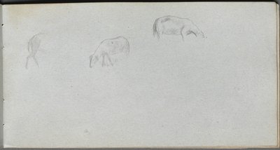 Quaderno degli schizzi, pagina 20: Studio di animali da Ernest Meissonier