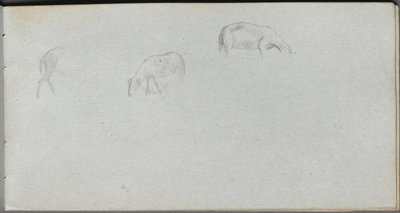Taccuino, pagina 20: Studio di animali da Jean Louis Ernest Meissonier